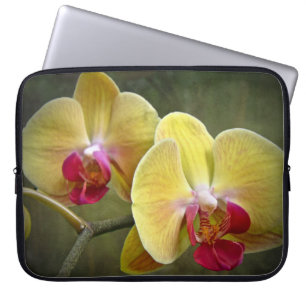 Housse Pour Ordinateur Portable Orchidées de teigne jaune - Phalaenopsis