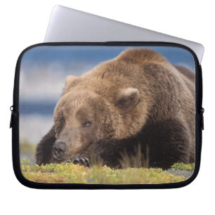 Housse Pour Ordinateur Portable ours brun, Ursus arctos, grizzly, Ursus 8