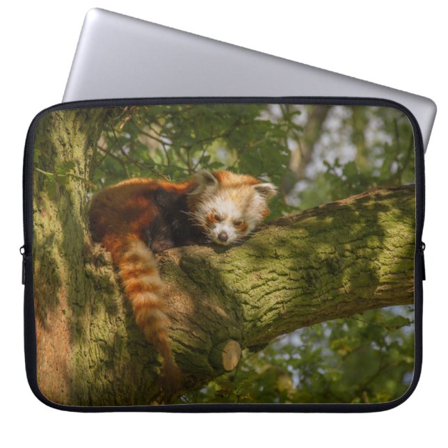 HOUSSE POUR ORDINATEUR PORTABLE PANDA ROUGE SUR BRANCHE ARBRE VERT (Devant)