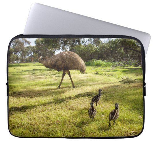 Housse Pour Ordinateur Portable Papa et bébé émeus, (Devant)