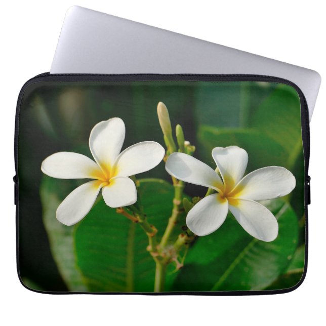 Housse Pour Ordinateur Portable Papier Frangipani blanc (Devant)