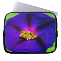 Papillon sur fleur de l'Ipomée