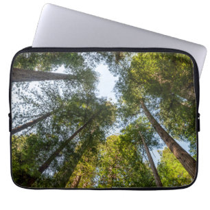 Housse Pour Ordinateur Portable Parcs national et d'État de Redwood, Californie