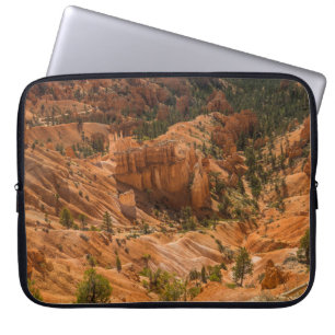 Housse Pour Ordinateur Portable Paysage désertique du Parc national du Canyon de B