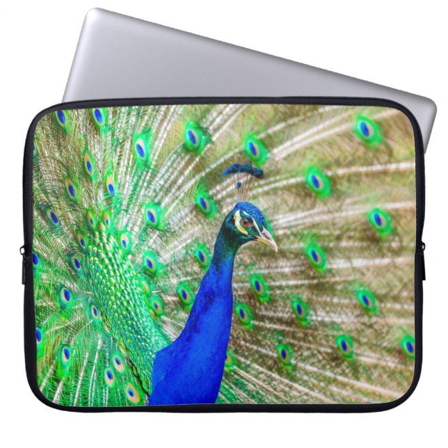 Housse Pour Ordinateur Portable Peacock Plumage (Devant)