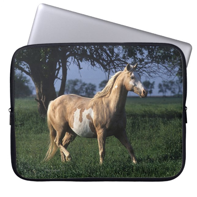 Housse Pour Ordinateur Portable Peignez le cheval tenant 2 (Devant)