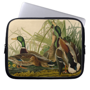 Housse Pour Ordinateur Portable Peinture d'oiseaux de Mallard Duck Audubon