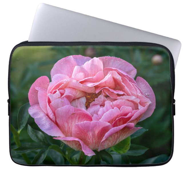 Housse Pour Ordinateur Portable Peony, Pink Flower Photographie (Devant)