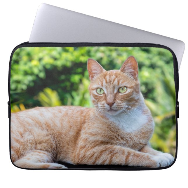 Housse Pour Ordinateur Portable Petit chou doux (Devant)