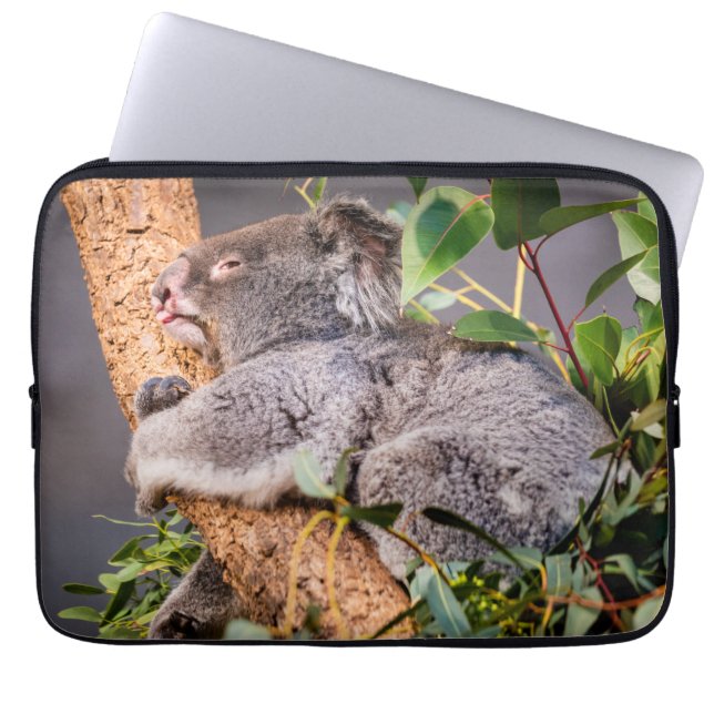 Housse Pour Ordinateur Portable Petit koala doux (Devant)