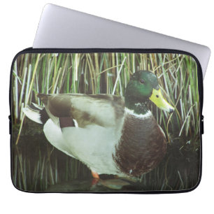 Housse Pour Ordinateur Portable Photo de canard colvert Distinctif Mâle Lac Oiseau