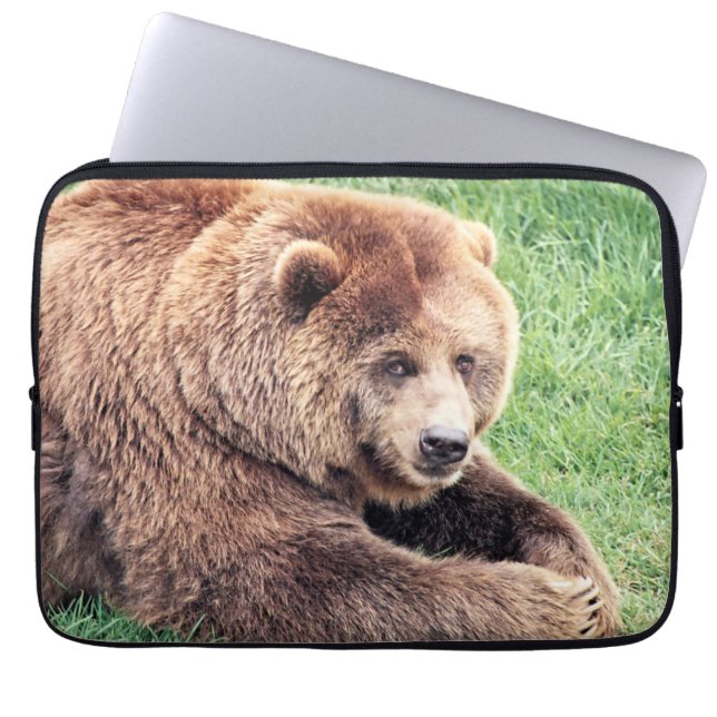 Housse Pour Ordinateur Portable Photo d'ours Brown (Devant)