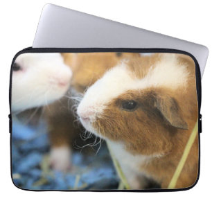 Housse Pour Ordinateur Portable Piggy