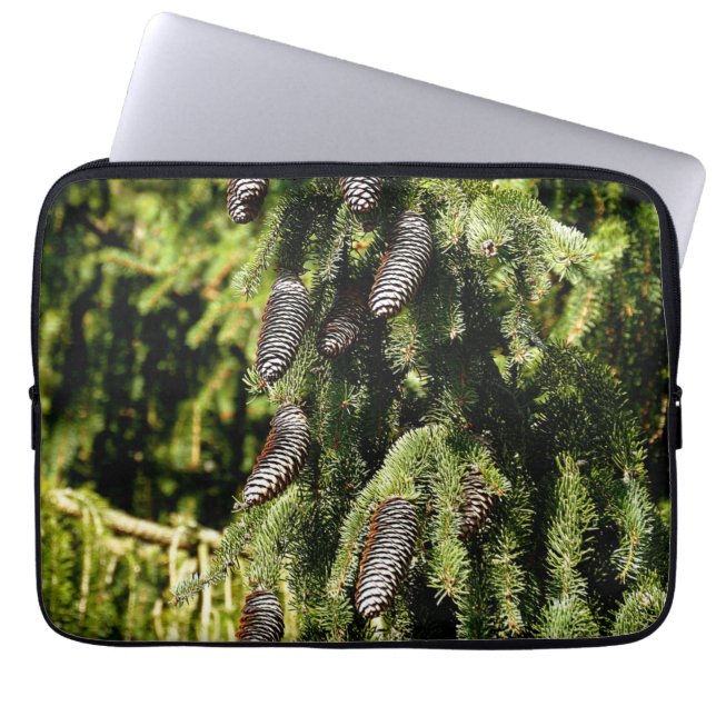 Housse Pour Ordinateur Portable Pinecones (Devant)