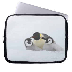 Housse Pour Ordinateur Portable Pingouin d'empereur (forsteri d'Aptenodytes) 2