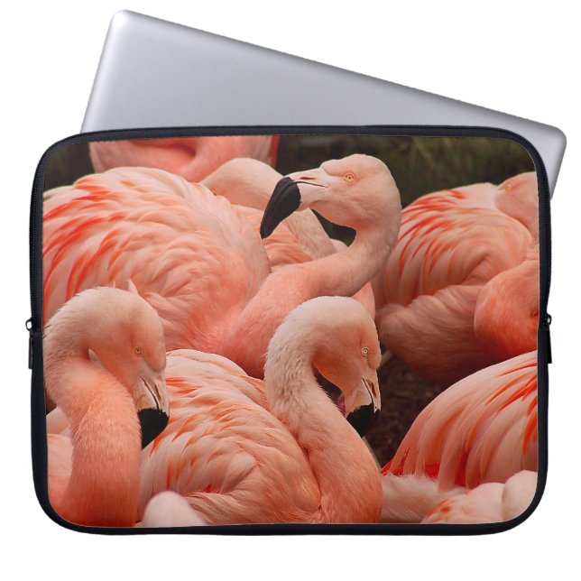 Housse Pour Ordinateur Portable Pink flamingos (Devant)