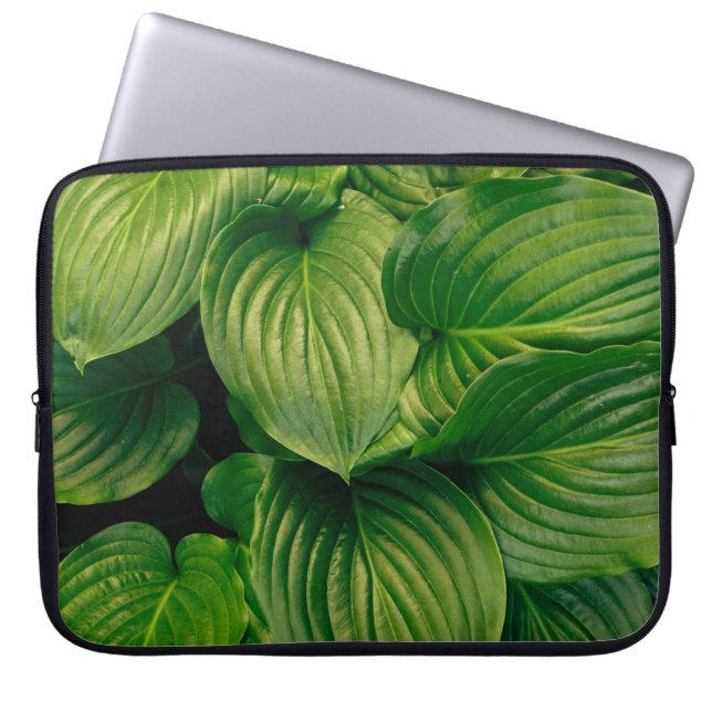 Housse Pour Ordinateur Portable Plante vert (Devant)