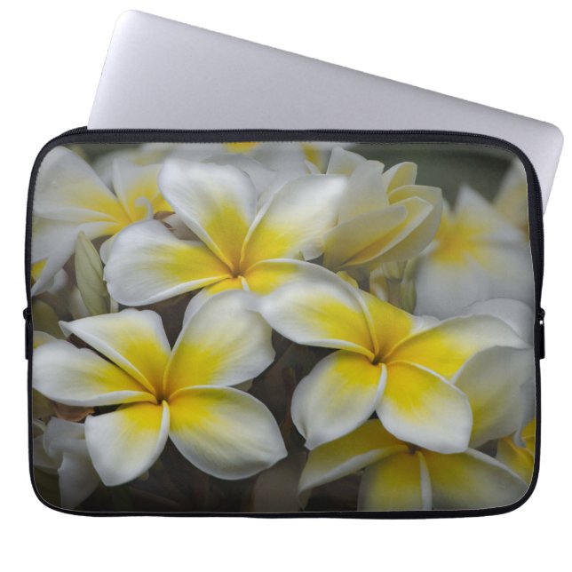 Housse Pour Ordinateur Portable Plumeria, Fleur Jaune Photographie (Devant)