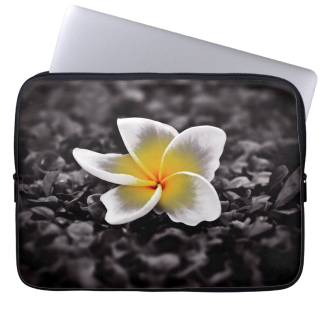 Housse Pour Ordinateur Portable Plumeria Frangipani Hawaii (Devant)
