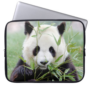 Housse Pour Ordinateur Portable pochette pour ordinateur portable Panda géant phot