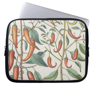 Housse Pour Ordinateur Portable Poivrons : longum de maximum de 1.Piper Indicum ;
