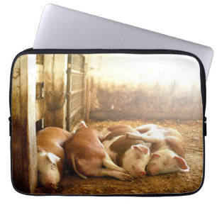 Housse Pour Ordinateur Portable Porcs se blottissants des images   de Getty