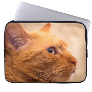 Housse Pour Ordinateur Portable Portrait de chat tigré orange curieux Photo de nat