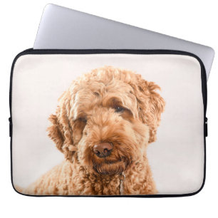 Housse Pour Ordinateur Portable Portrait de Goldendoodle Studio