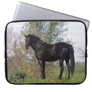 Housse Pour Ordinateur Portable Position de cheval de pur sang
