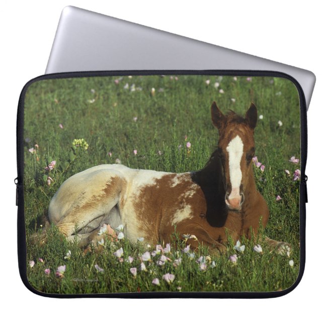 Housse Pour Ordinateur Portable Poulain d'Appaloosa fixant en fleurs (Devant)