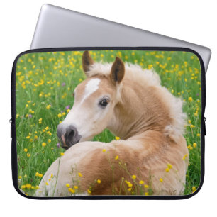 Housse Pour Ordinateur Portable Poulain mignon de cheval de poney de Haflinger en