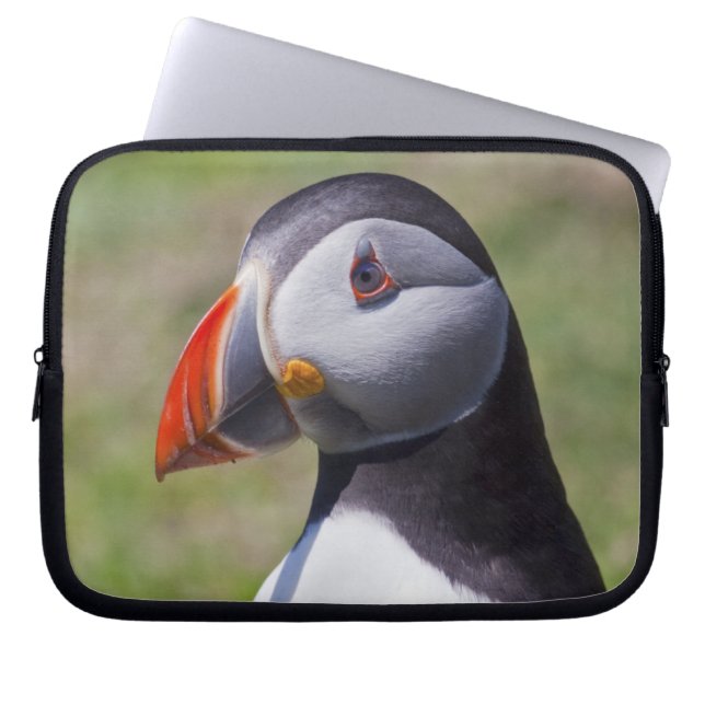 Housse pour ordinateur portable Puffin (Devant)
