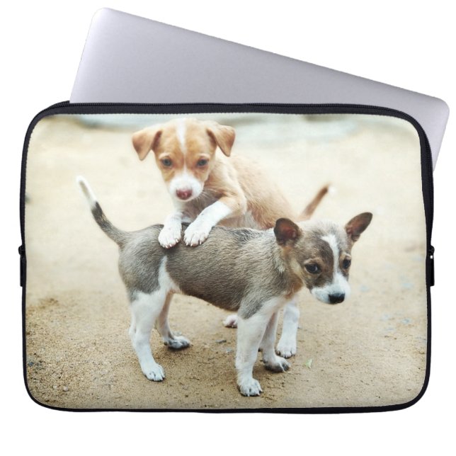 Housse Pour Ordinateur Portable Puppies mignonnes jouer sur la plage (Devant)
