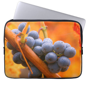 Housse Pour Ordinateur Portable Raisin de vigne dans le vignoble