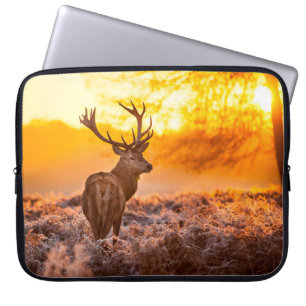 Housse Pour Ordinateur Portable Red Deer in Morning Sun, cerf, animal, faune, natu
