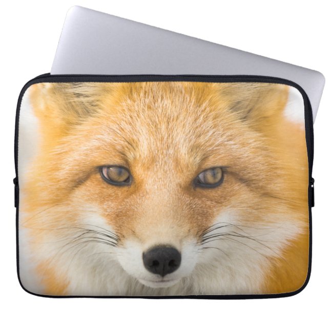 Housse Pour Ordinateur Portable Red Fox Portrait (Devant)