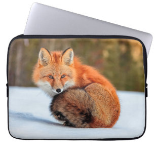 Housse Pour Ordinateur Portable Renard roux dans la neige Yukon