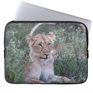 Housse Pour Ordinateur Portable Rester Lionne dans la faune africaine