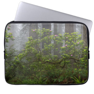 Housse Pour Ordinateur Portable Rhododendron dans le parc national de Redwood en C
