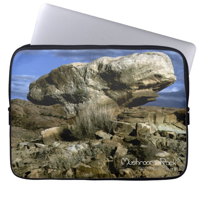 Housse Pour Ordinateur Portable Roche de champignons (Devant)