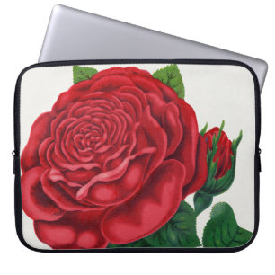 Housse Pour Ordinateur Portable Rose Print Rochester Lithographing and Printing Co