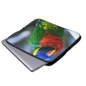 Housse Pour Ordinateur Portable Rouge bleu vert lorikeet photographie oiseau moder (Devant bas)