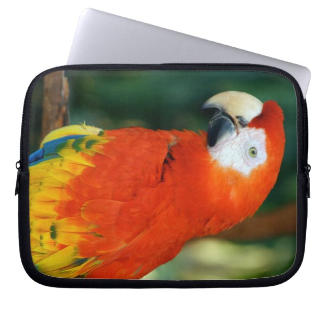 Housse Pour Ordinateur Portable Scarlet Macaw (Devant)