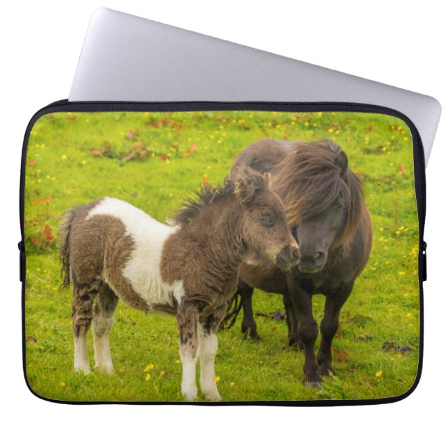 Housse Pour Ordinateur Portable Shetland Pony mère et progéniture (Devant)