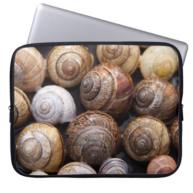 Housse Pour Ordinateur Portable Snail Shells (Devant)