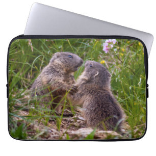 Housse pour ordinateur portable Sparring Partners