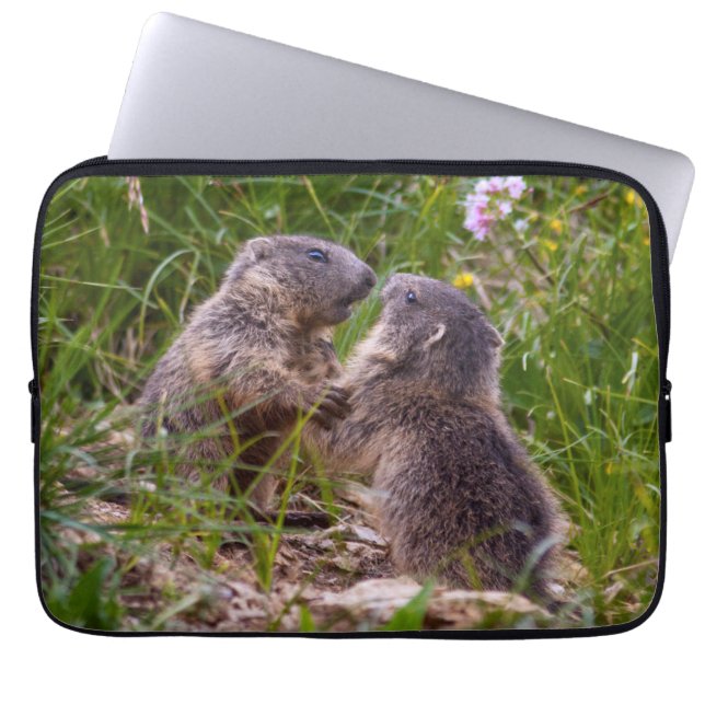 Housse pour ordinateur portable Sparring Partners (Devant)