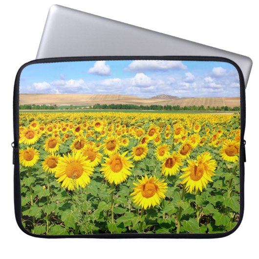 Housse Pour Ordinateur Portable Terrain de tournesol (Devant)