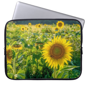 Housse Pour Ordinateur Portable Terrain de tournesol doré