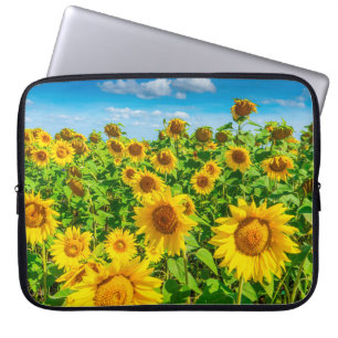 Housse Pour Ordinateur Portable Terrain de tournesol en été par beau temps. pittor